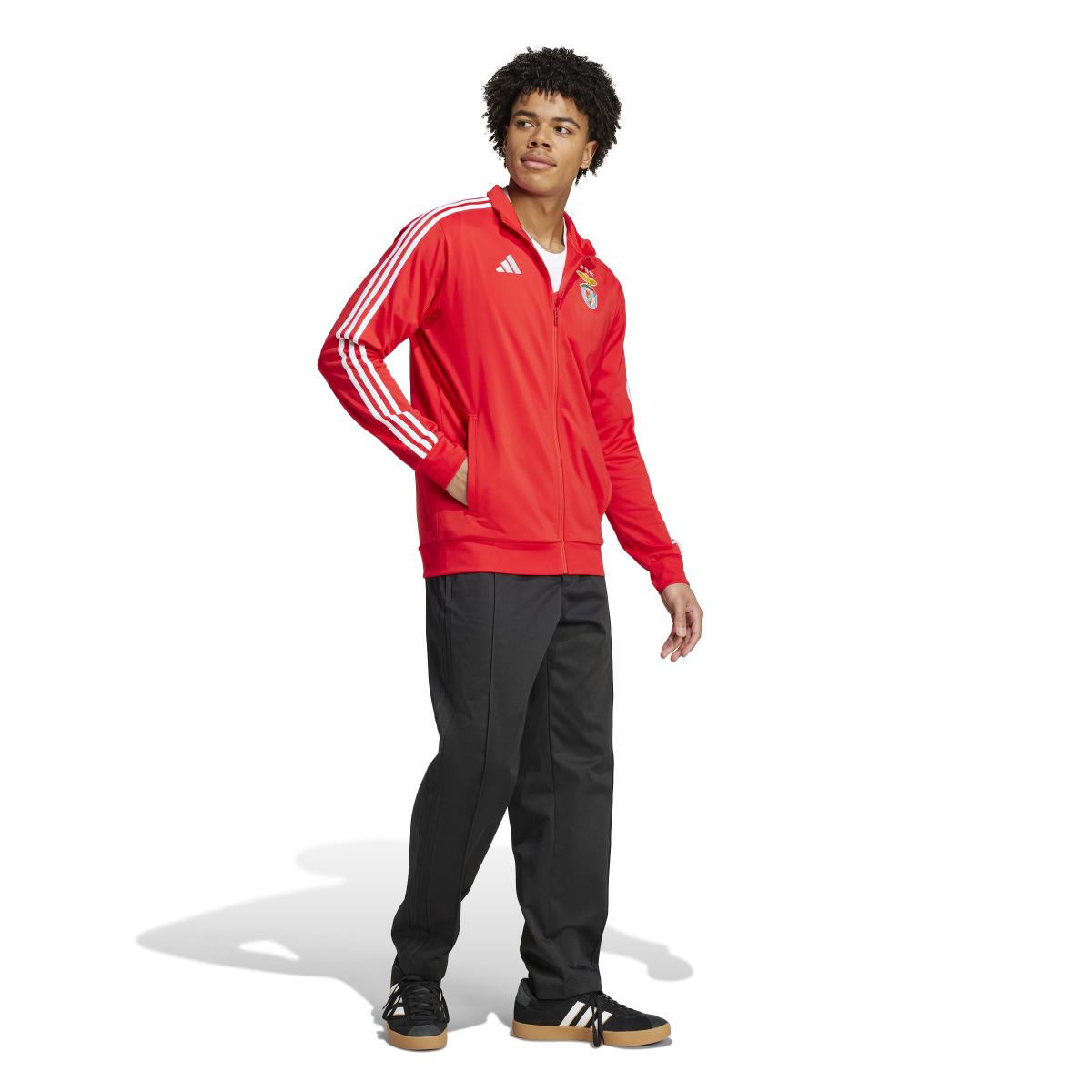 product/a/d/adidas_iv7906_6_apparel_on_model_walking_view_white.jpg
