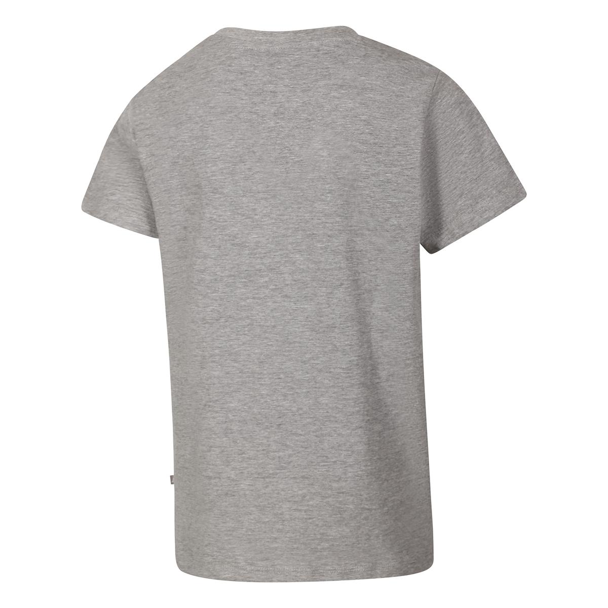 product/a/l/alpine-pro_ktse515774pb_gray-varianta-pb_2.jpg