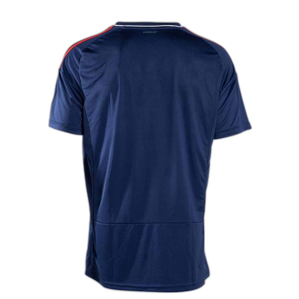 product/a/t/ath-il6136_packshot_maillot_home_dos_2_.jpg