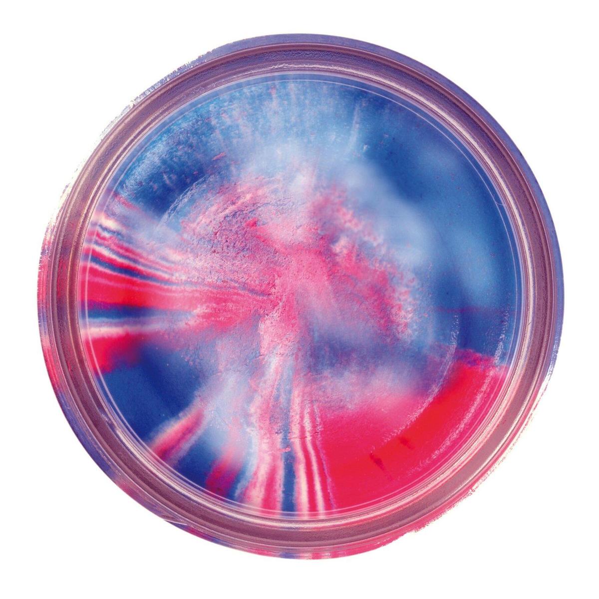 product/b/e/berkley_1633596_cpt-america-glitter_1.jpg