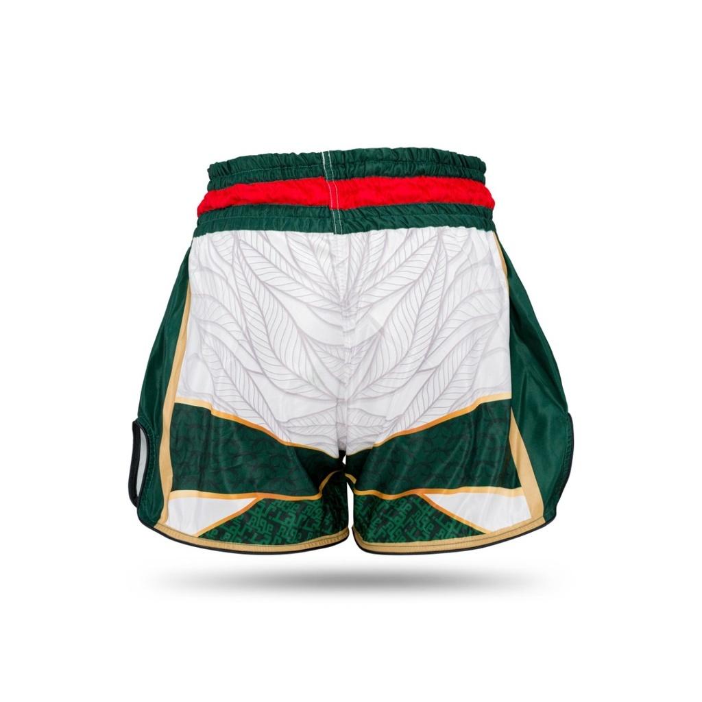 product/b/o/booster-fight-gear_tbt-country-al-l_blanc-vert_2.jpg