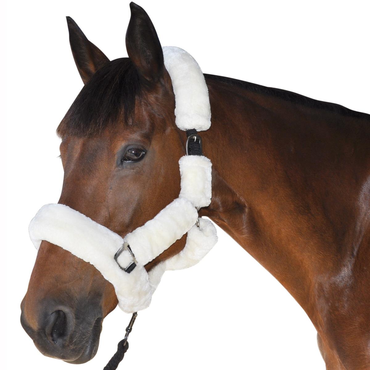 product/c/a/canter_109507-naturel.jpg