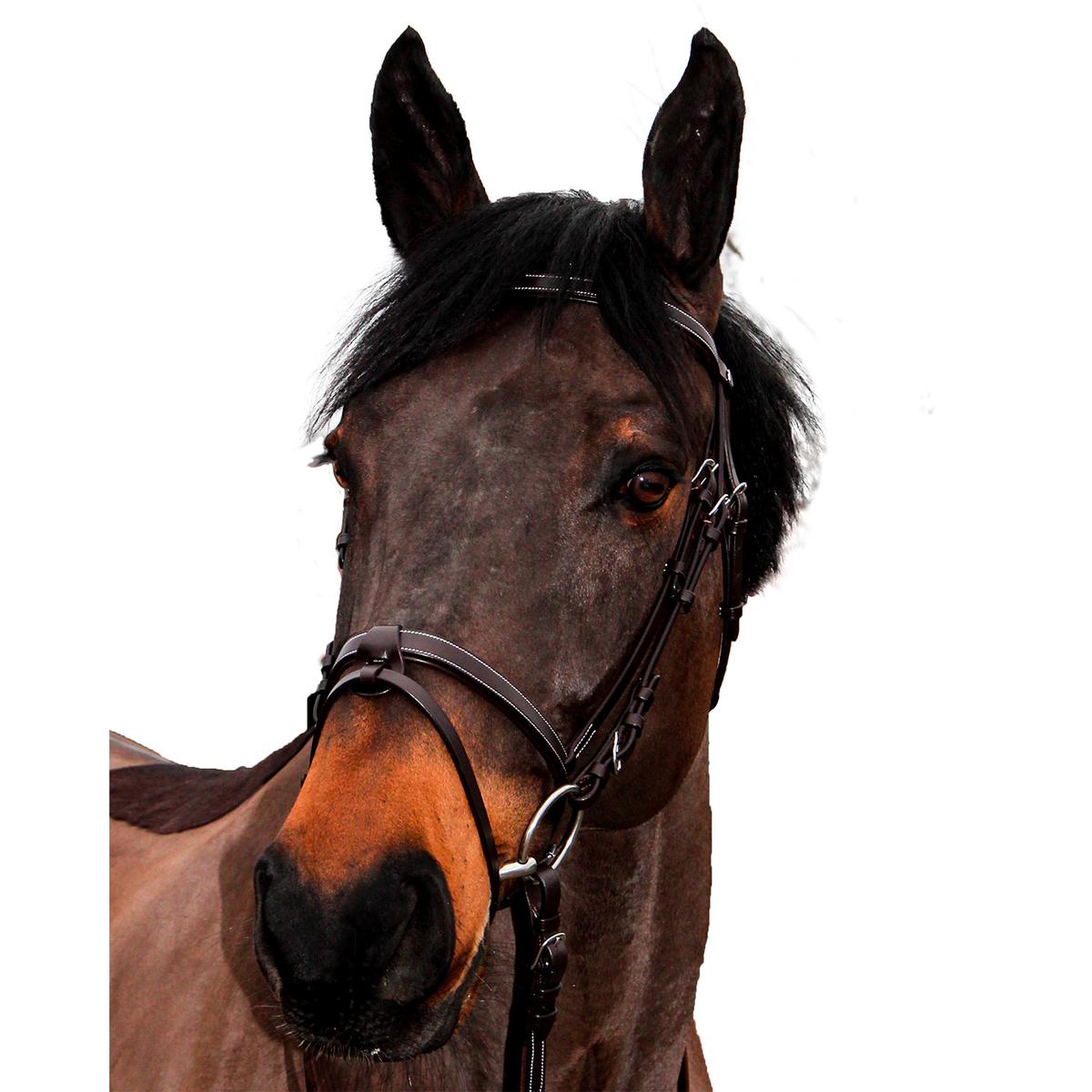 product/c/a/canter_111102-marron_marron_1.jpg