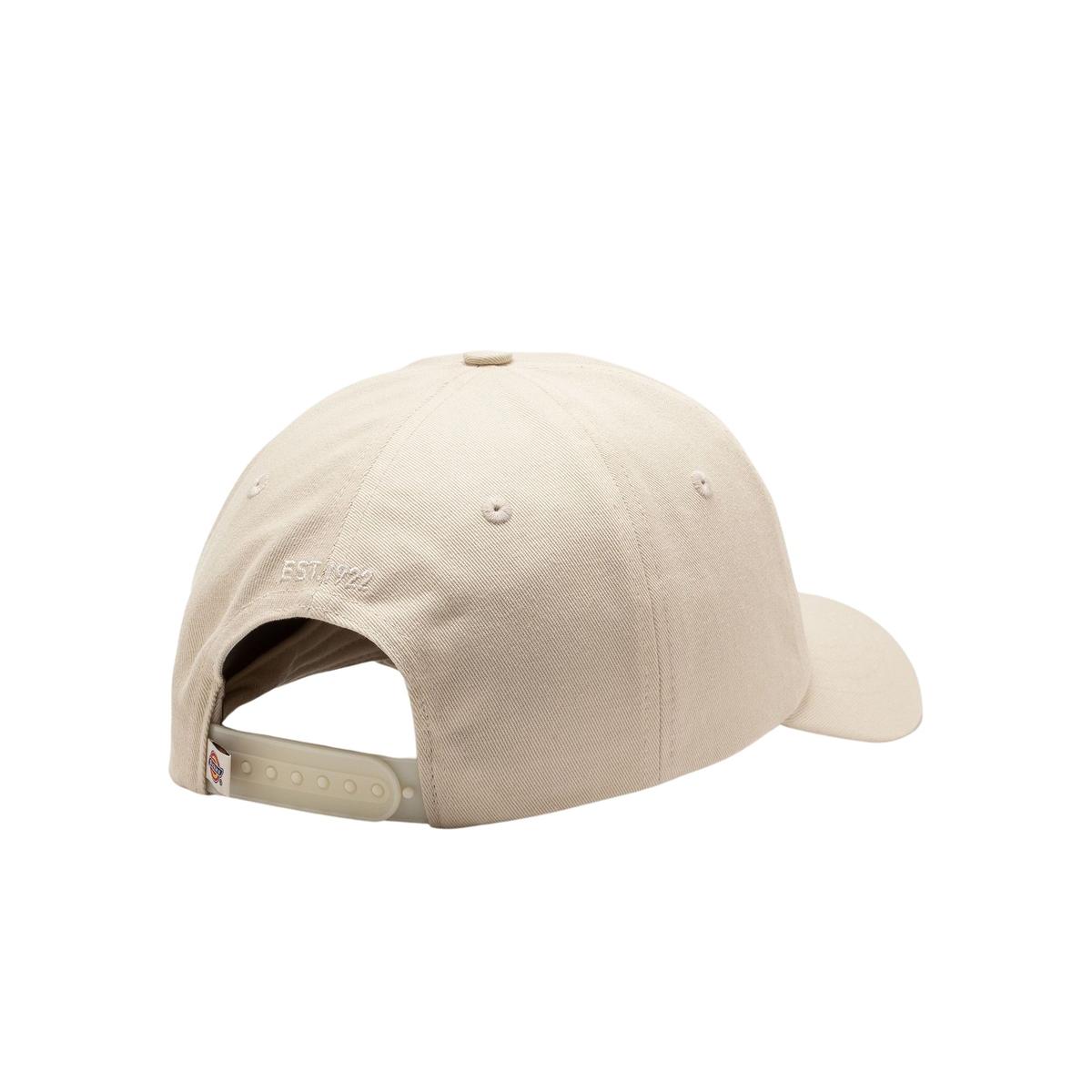product/d/i/dickies_dk0a4tkvf901_f901-whitecap-gray_2.jpg