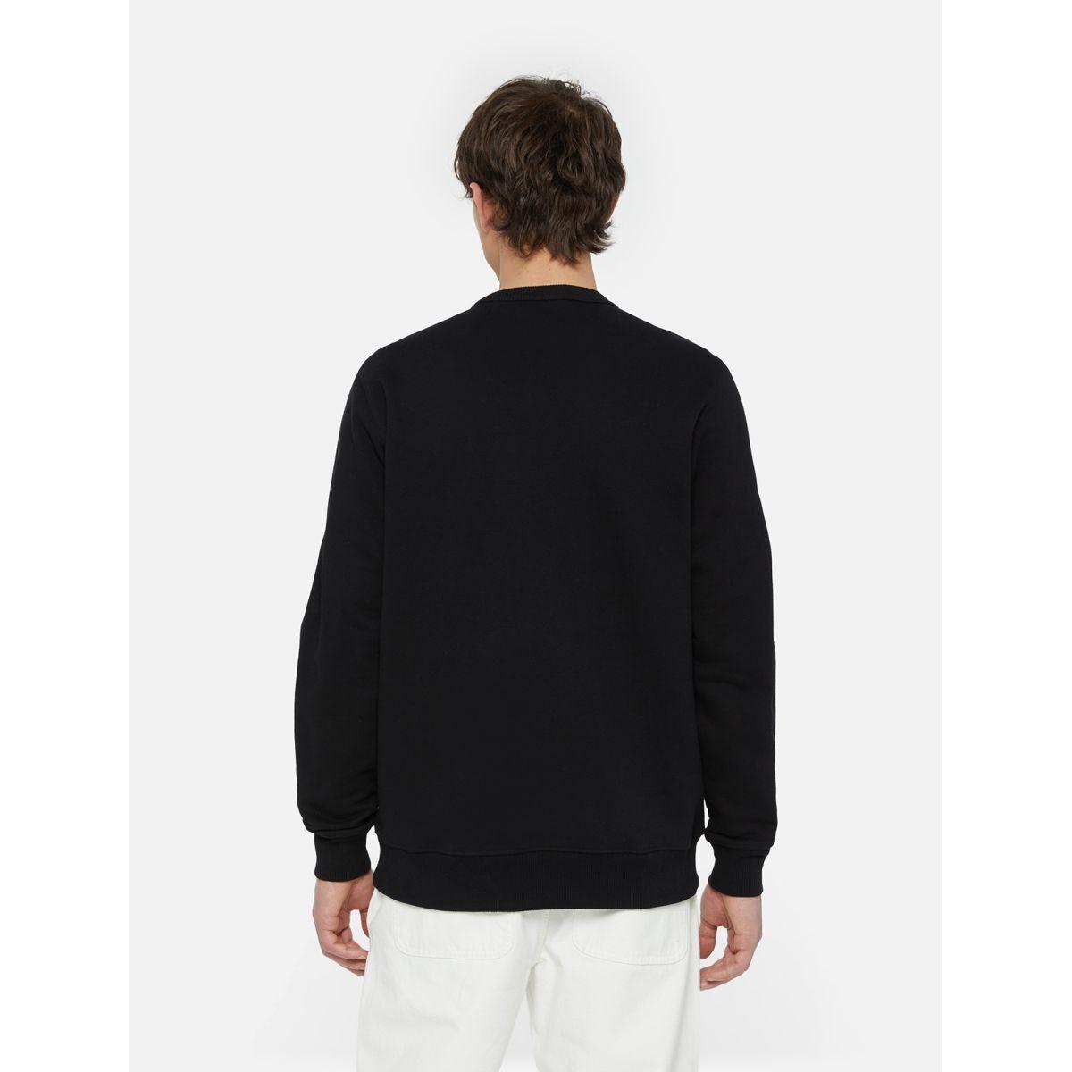product/d/i/dickies_dk0a4xabj391_3.jpg