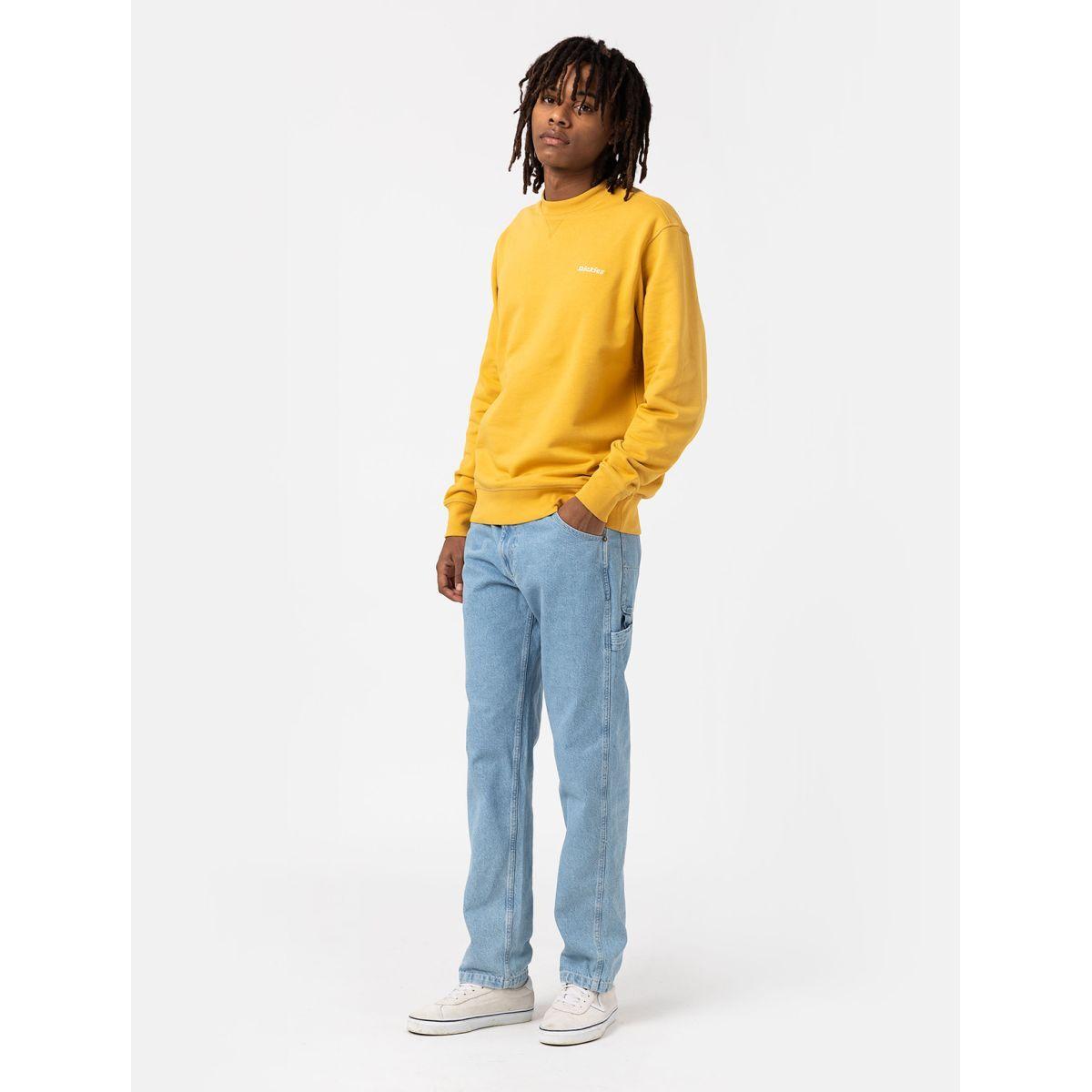 product/d/i/dickies_dk0a4xecc151_bleu_3.jpg