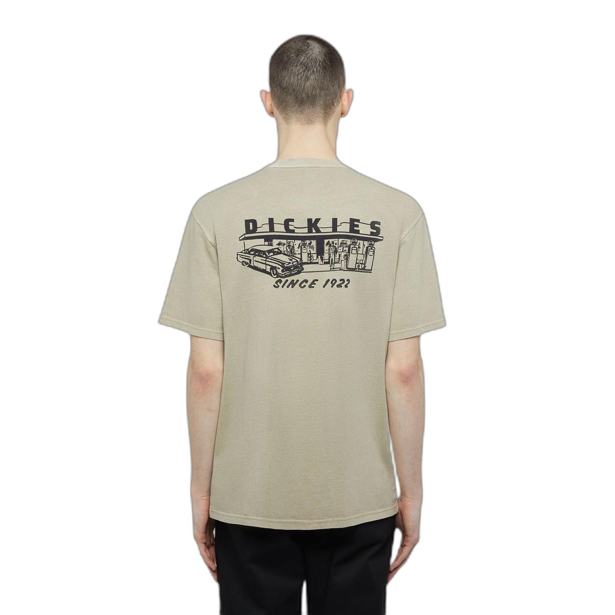 product/d/i/dickies_dk0a4z8x0ds1_desert-sand_1.jpg