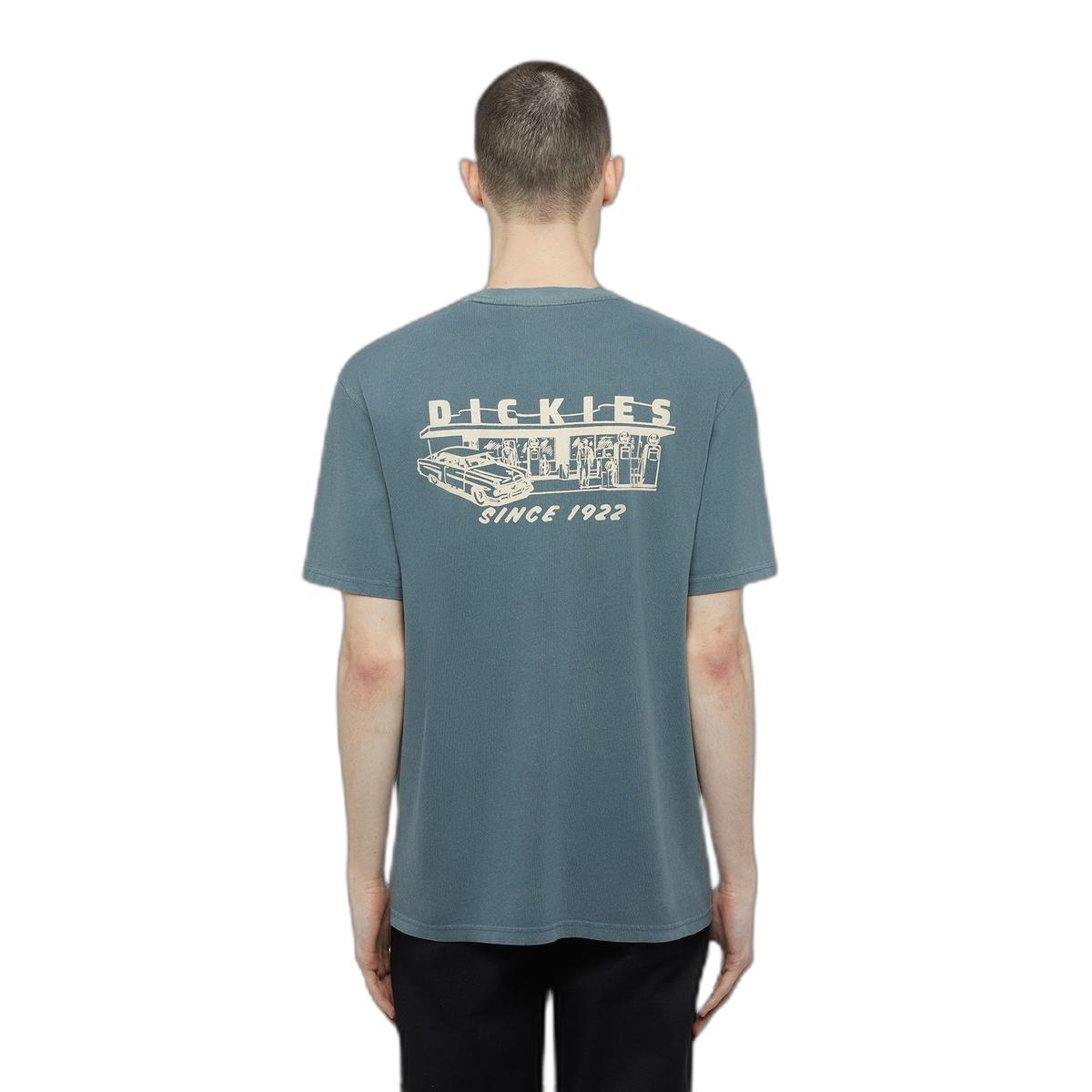 product/d/i/dickies_dk0a4z8xg701_stormy-weather_1.jpg