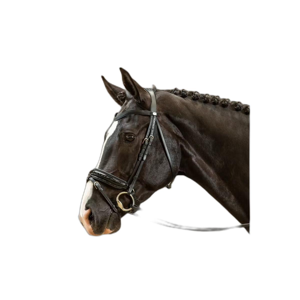 product/d/y/dy-on_wodcanblc_noir_1.jpg