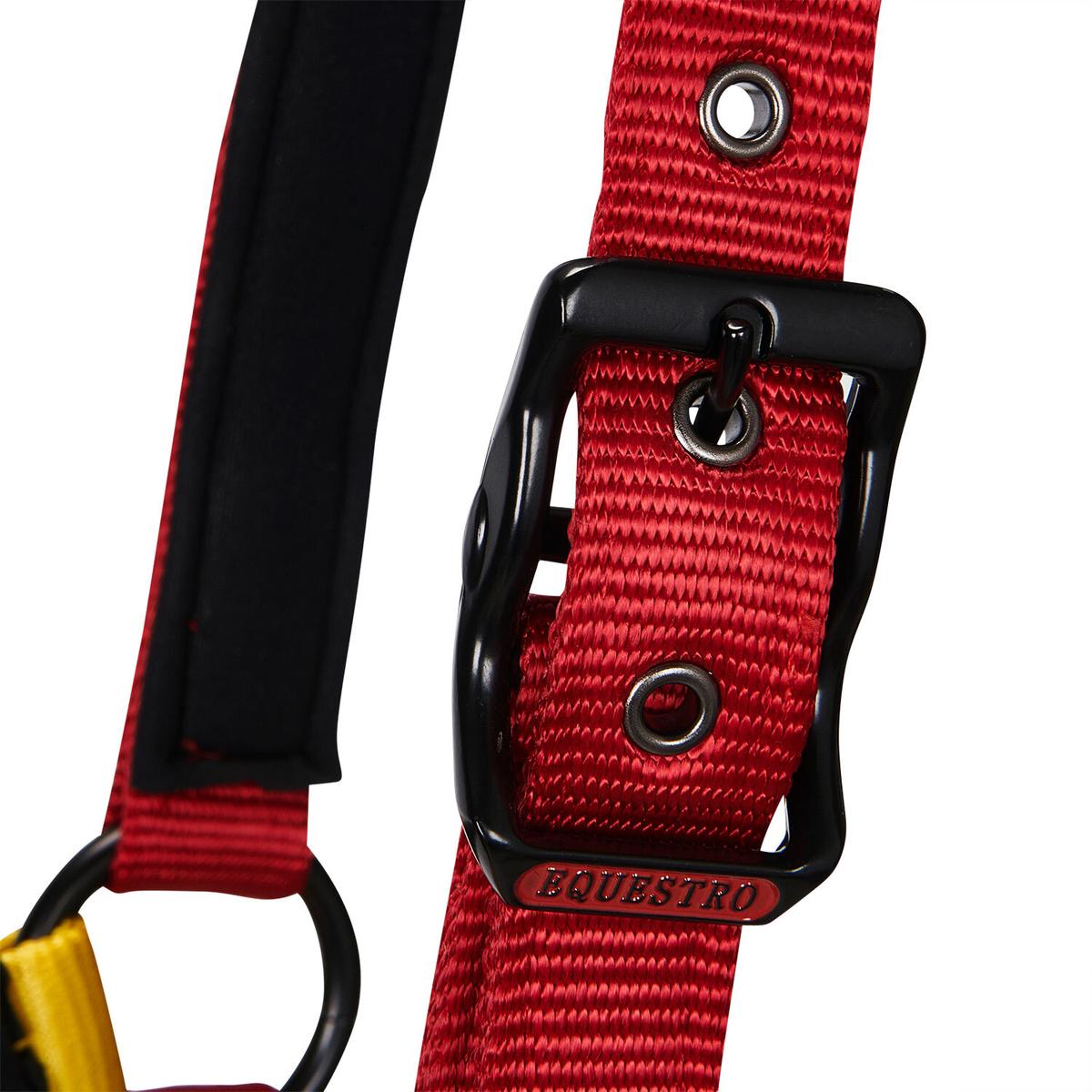 product/e/q/equestro_ca00512-black_red_yellow_black-red-yellow_3.jpg