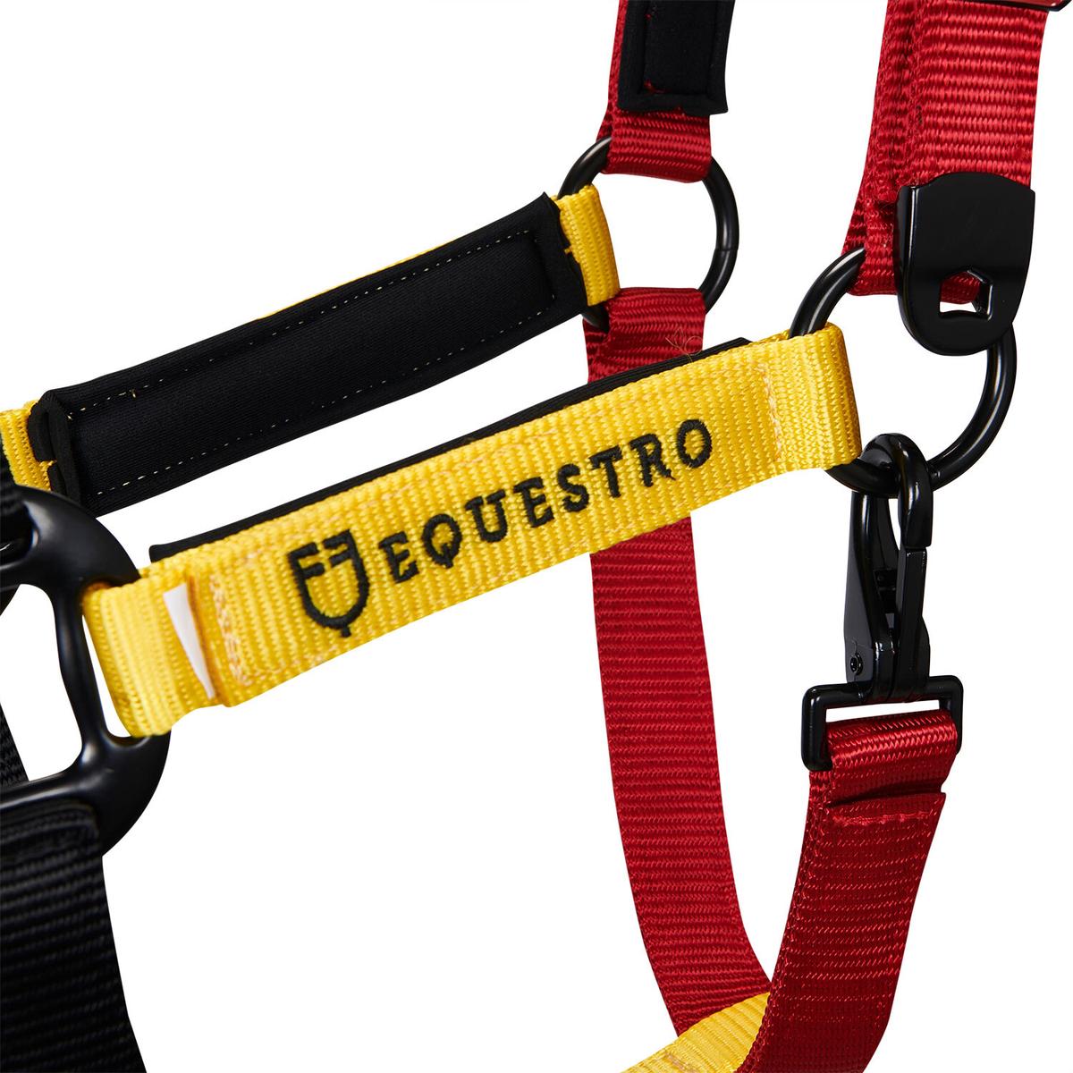 product/e/q/equestro_ca00512-black_red_yellow_black-red-yellow_4.jpg