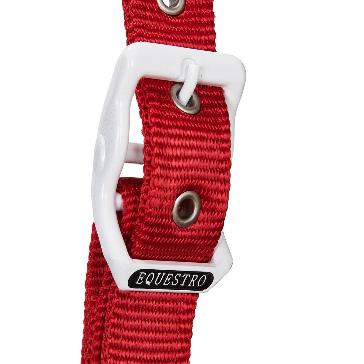 product/e/q/equestro_ca00512-navy_white_red_navy-white-red_4.jpg