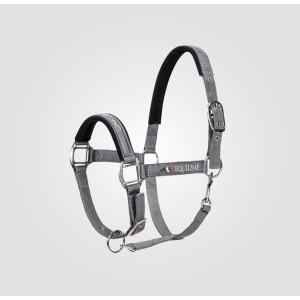 product/e/q/equiline_ec018pe00123-007_mag3998903_1.jpg