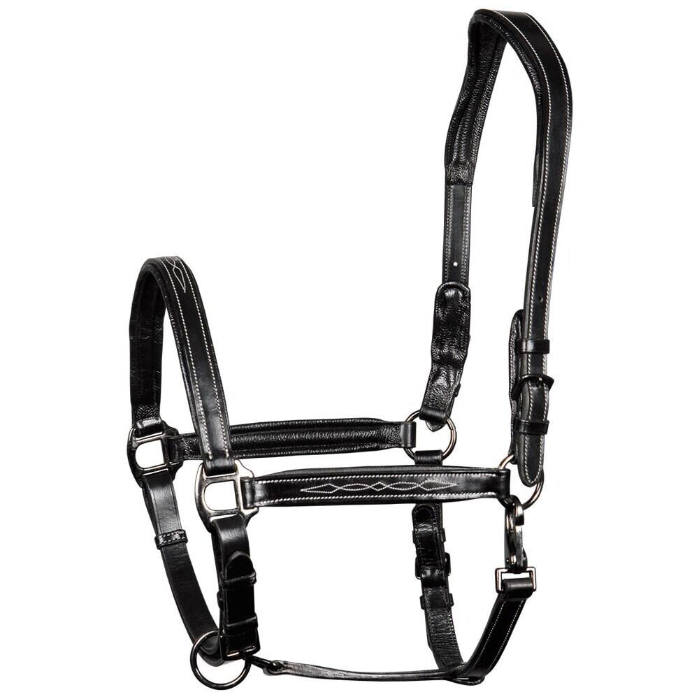 product/h/a/harry-s-horse_28500001-05_1_2.jpg