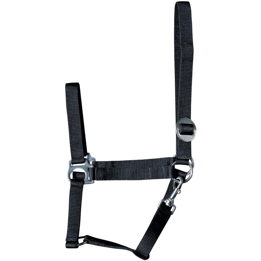 product/h/a/harry-s-horse_31000925-001.jpg