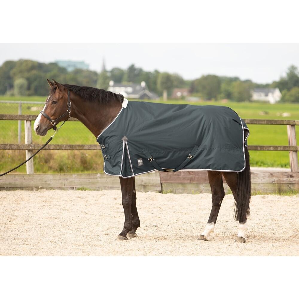 product/h/a/harry-s-horse_32200691-42.jpg