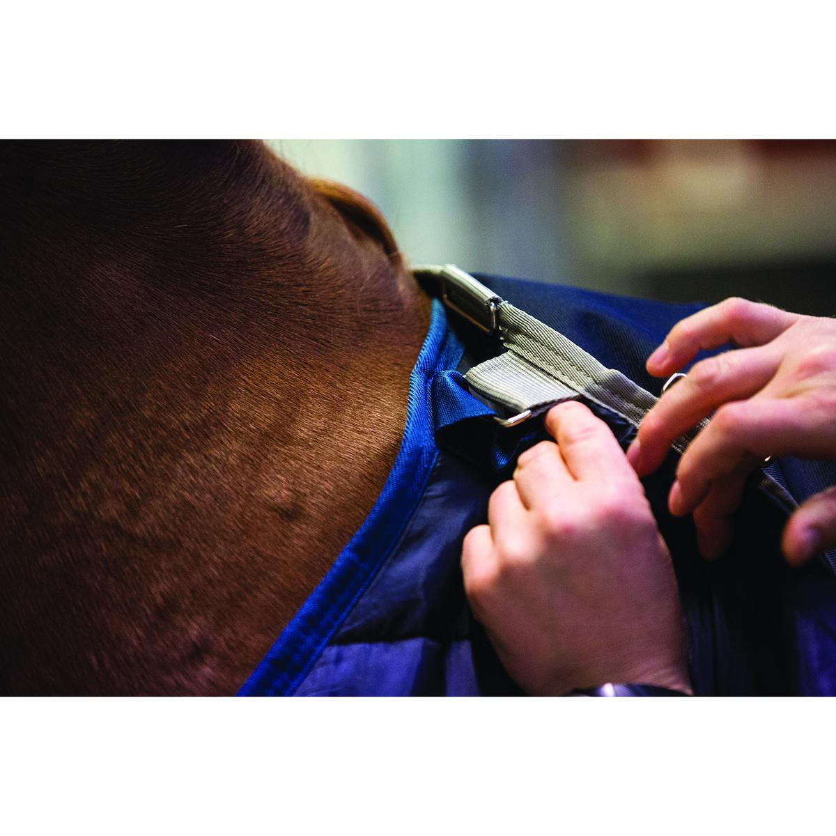 product/h/o/horseware_hwabad62na_mag3838009_8.jpg