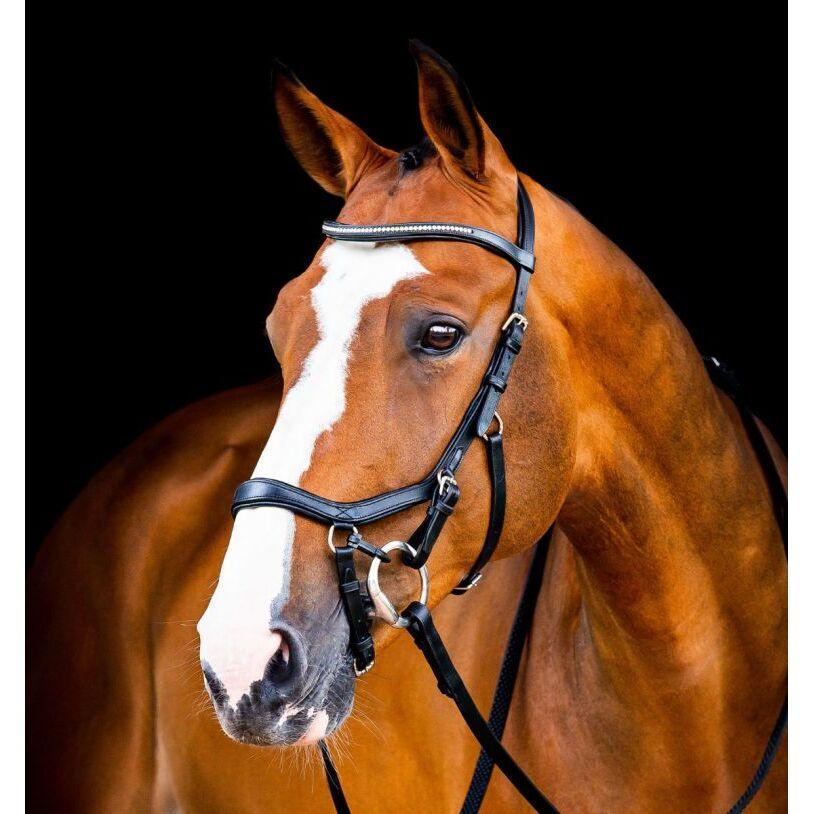 product/h/o/horseware_sbmrm0-k000_1.jpg