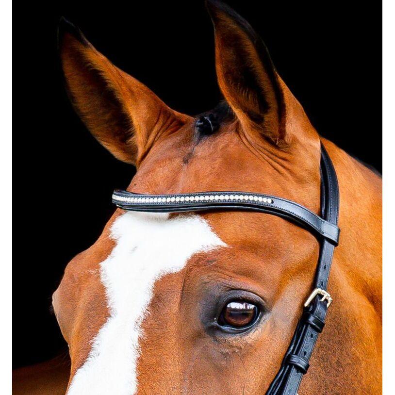 product/h/o/horseware_sbmrm0-k000_black_3.jpg