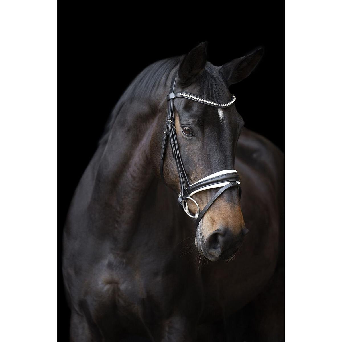 product/i/m/imperial-riding_ho30123000-9548_noir_1.jpg