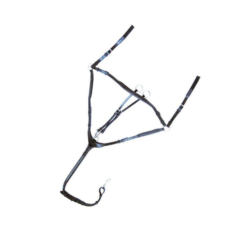 product/k/a/kavalkade_0169031150200_1.jpg