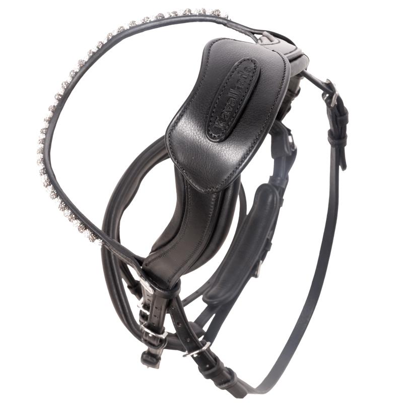 product/k/a/kavalkade_0207721150202_black-black_1.jpg
