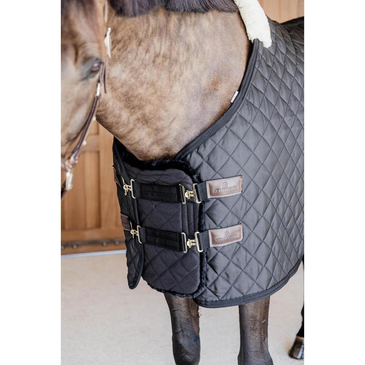 product/k/e/kentucky_52186-01_9.jpg