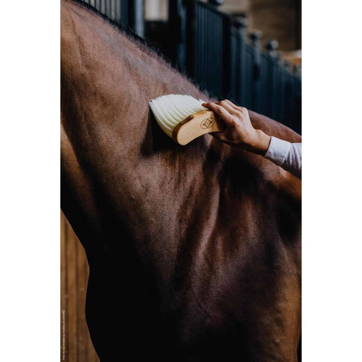 product/k/e/kentucky_82138-05_5.jpg