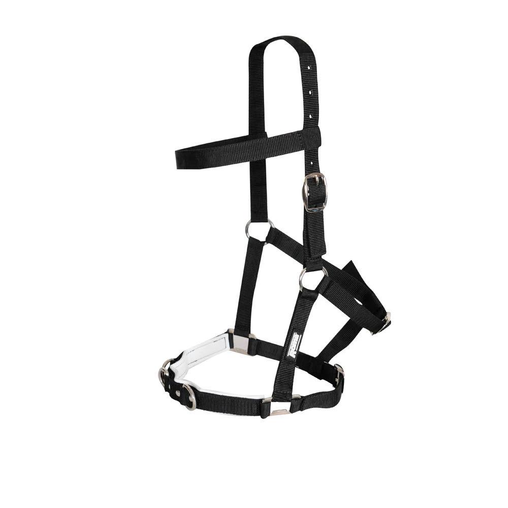 product/k/i/kincade_565000_black_1.jpg