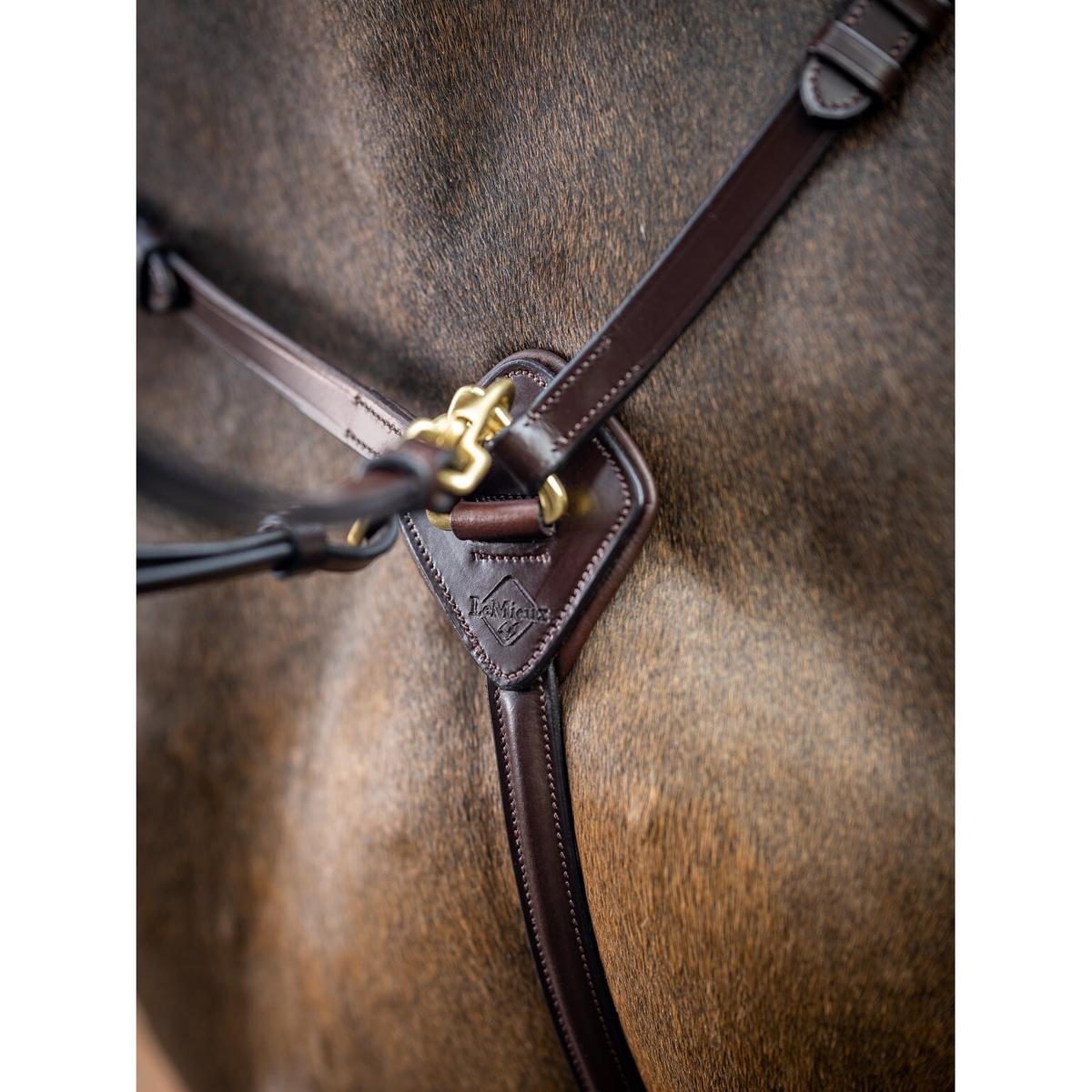 product/l/e/lemieux_it02646_3.jpg