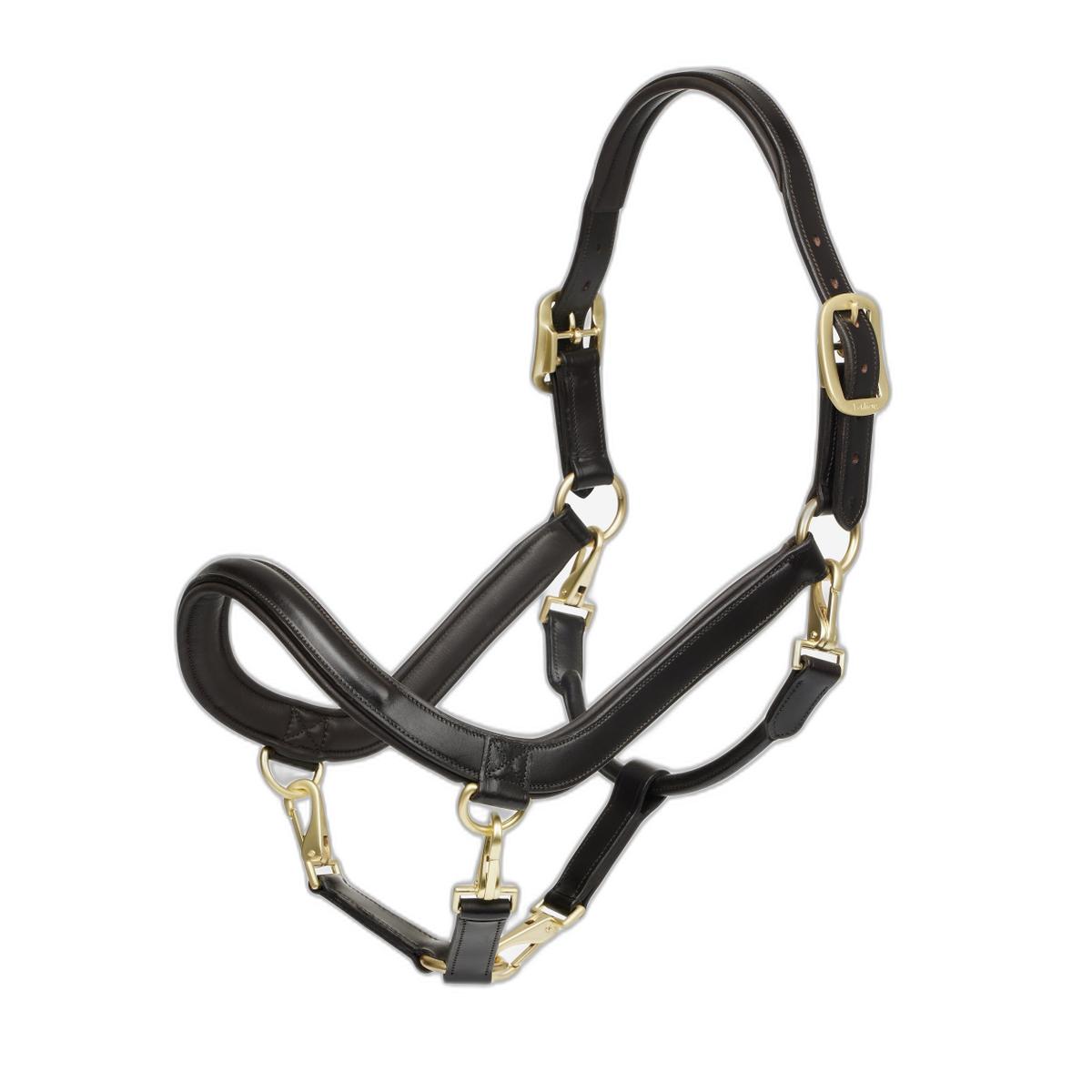 product/l/e/lemieux_it03310007_0.jpg