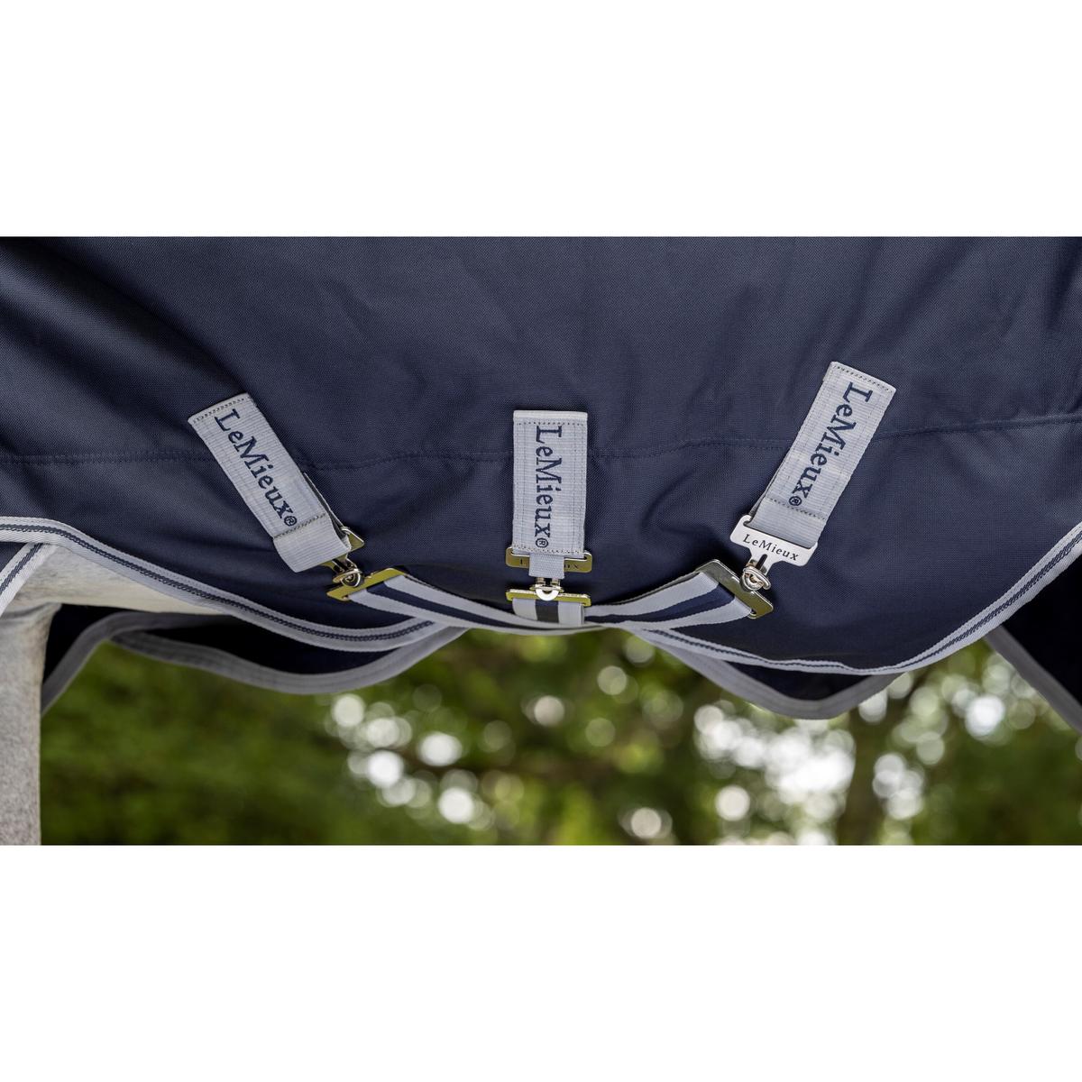 product/l/e/lemieux_it03827025_4.jpg
