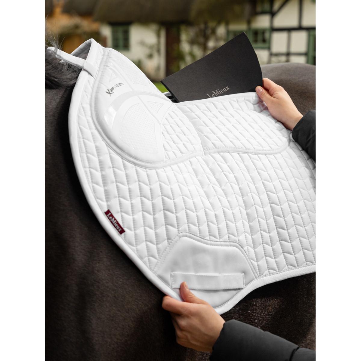 product/l/e/lemieux_it04901005_3.jpg