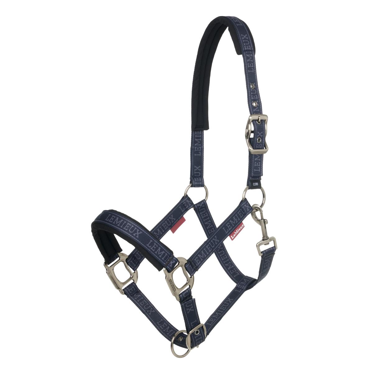 product/l/e/lemieux_it06196007_1.jpg