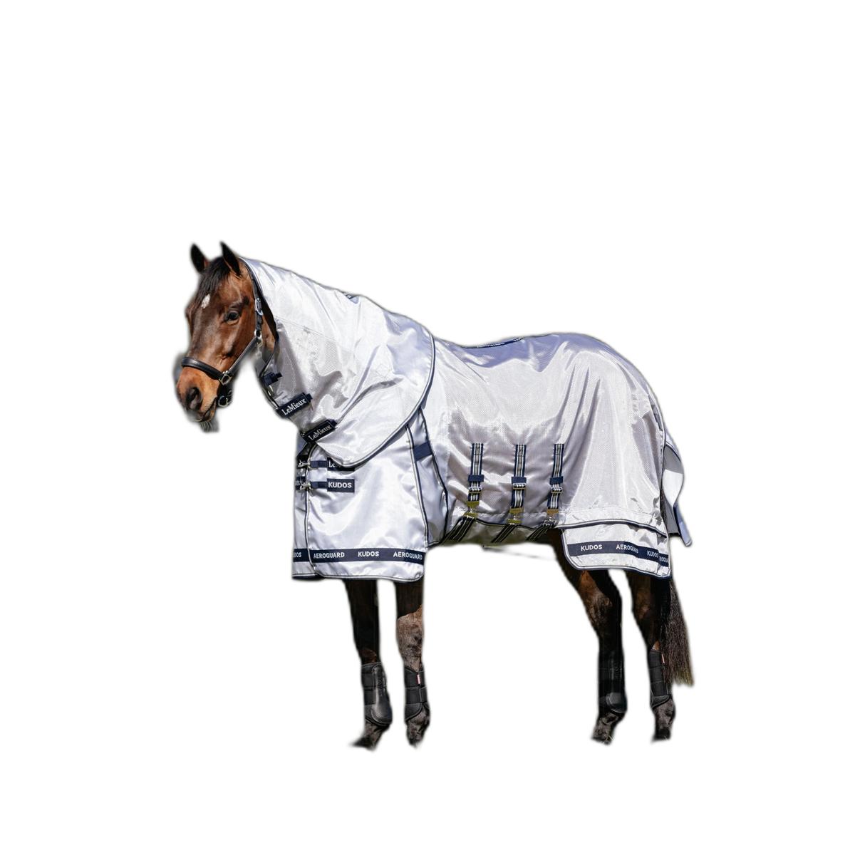 product/l/e/lemieux_it06259025_argent_1.jpg