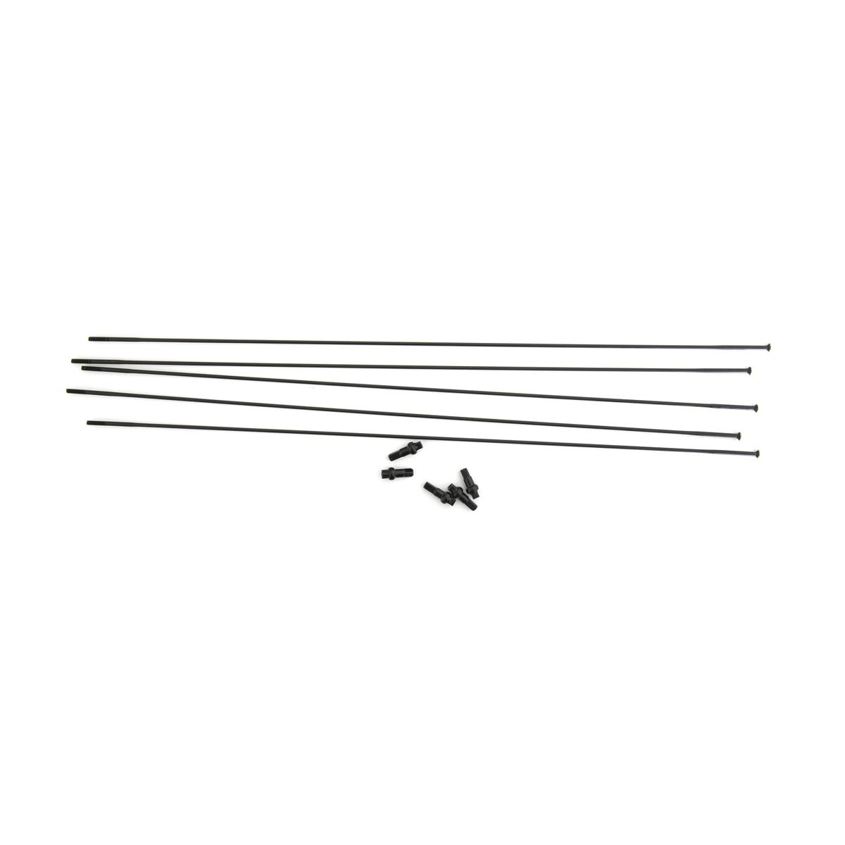 product/m/a/massi_57958.jpg