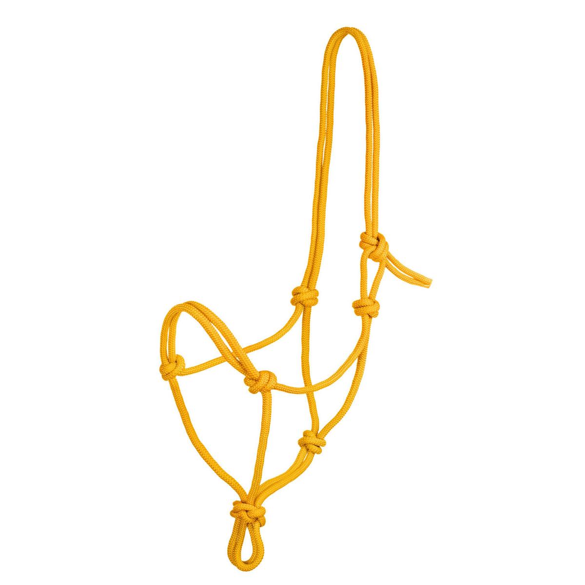 product/p/o/pool-s_ca00129-yellow_yellow_1.jpg
