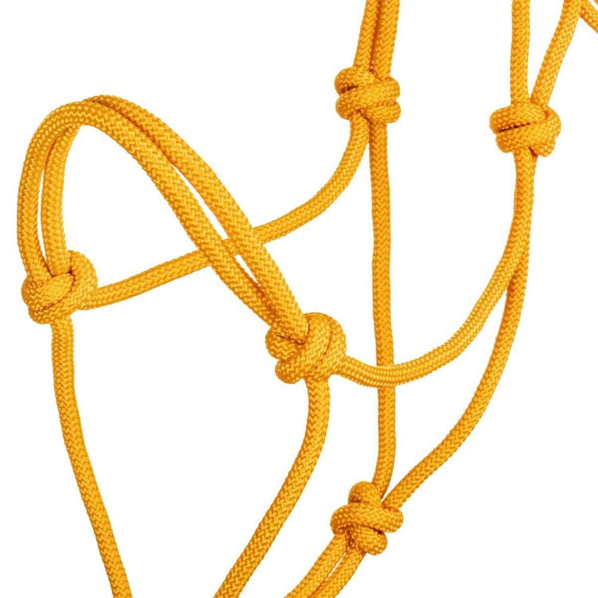 product/p/o/pool-s_ca00129-yellow_yellow_3.jpg