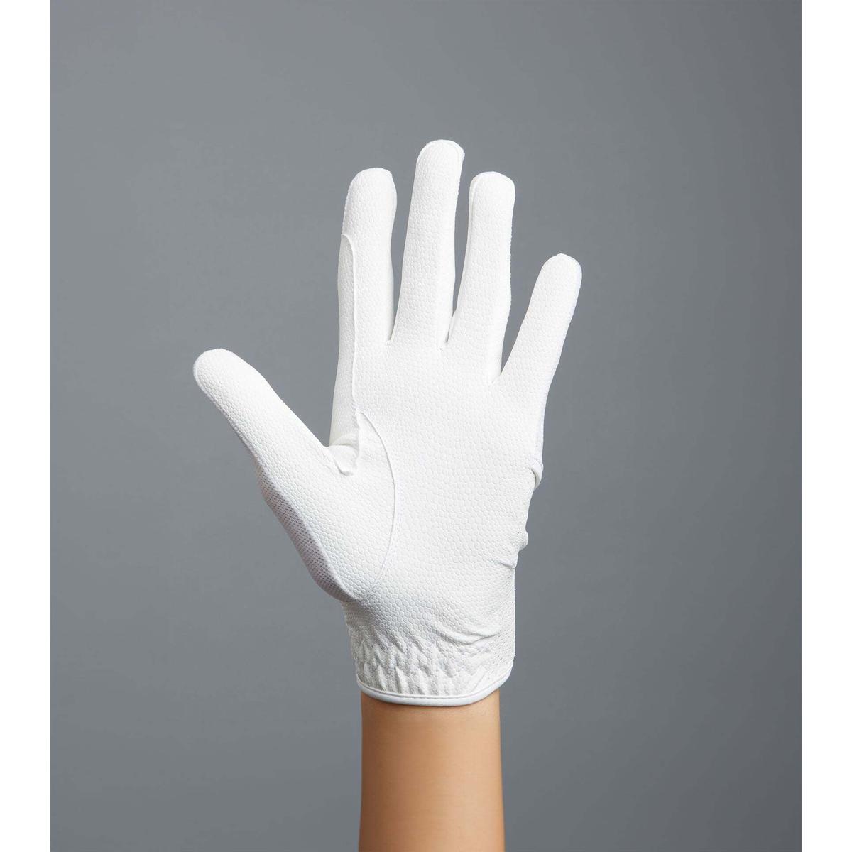 product/p/r/premier-equine_4552lw_3.jpg