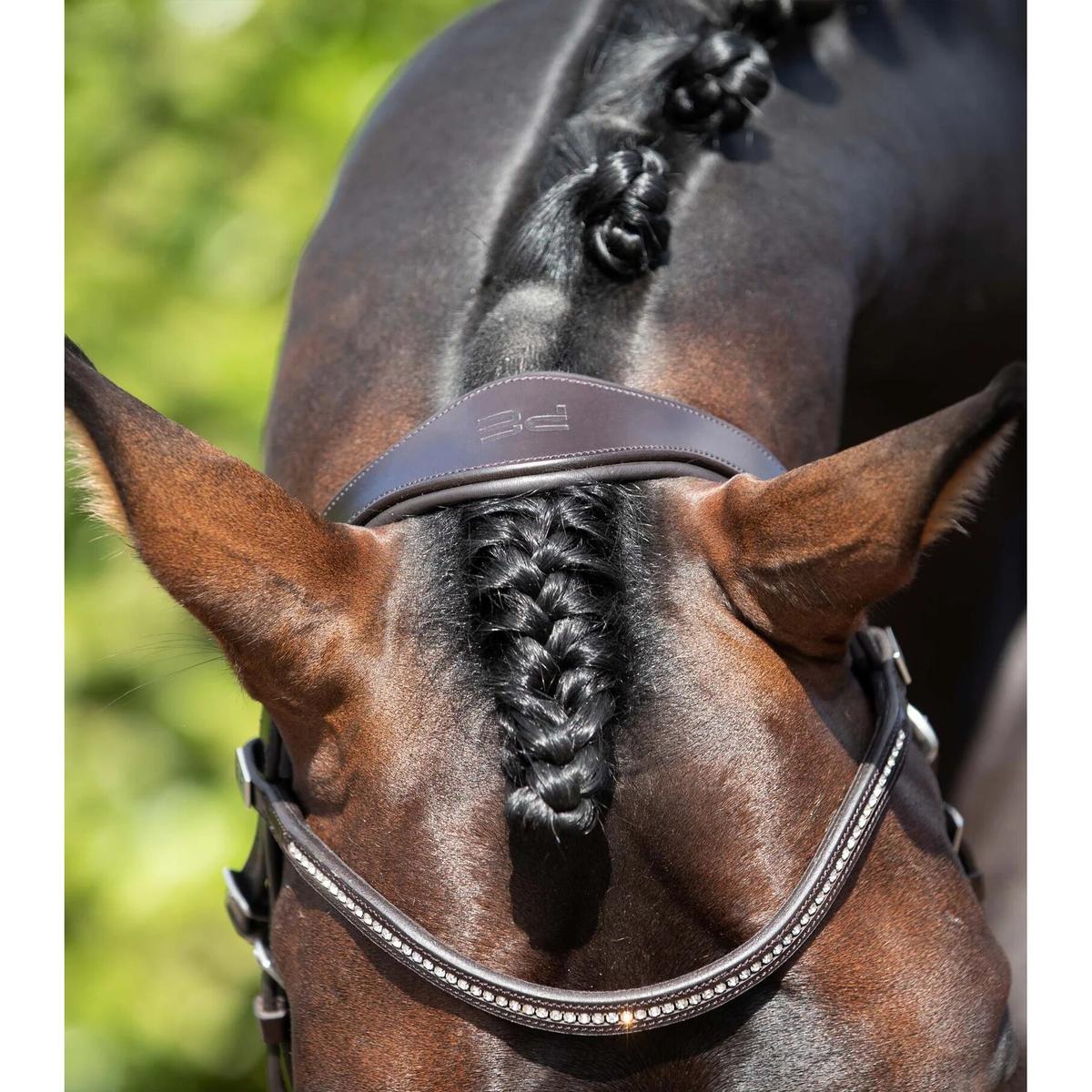 product/p/r/premier-equine_8004pbrw_5.jpg