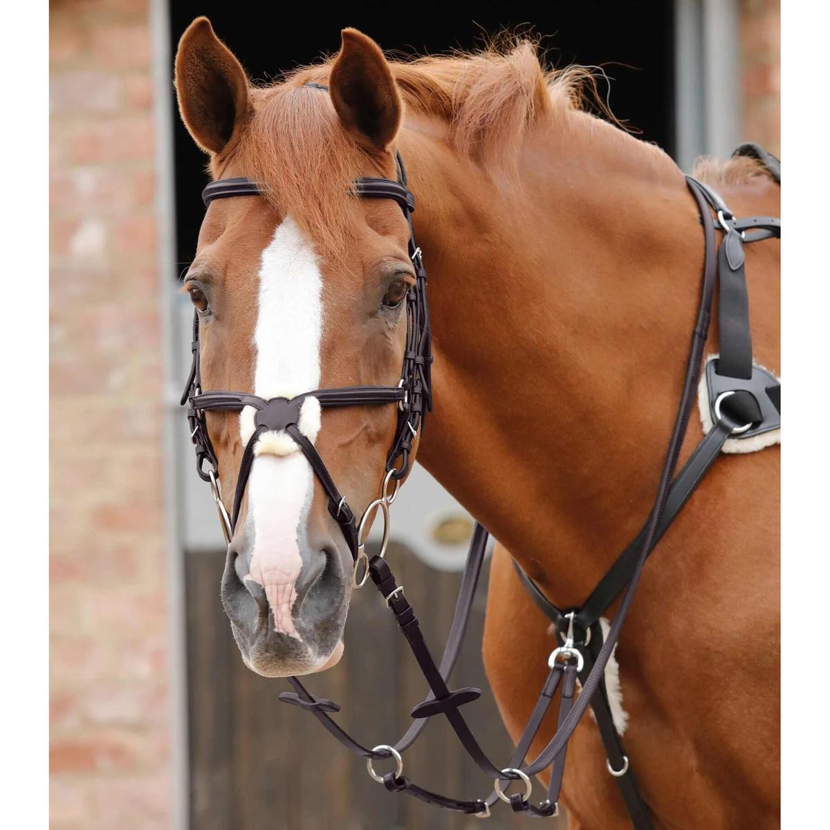 product/p/r/premier-equine_8039-brw_2.jpg
