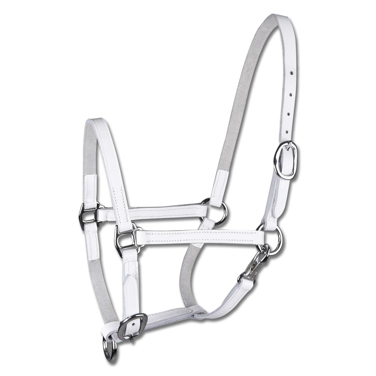 product/s/t/star_50436202-wb_blanc_1.jpg
