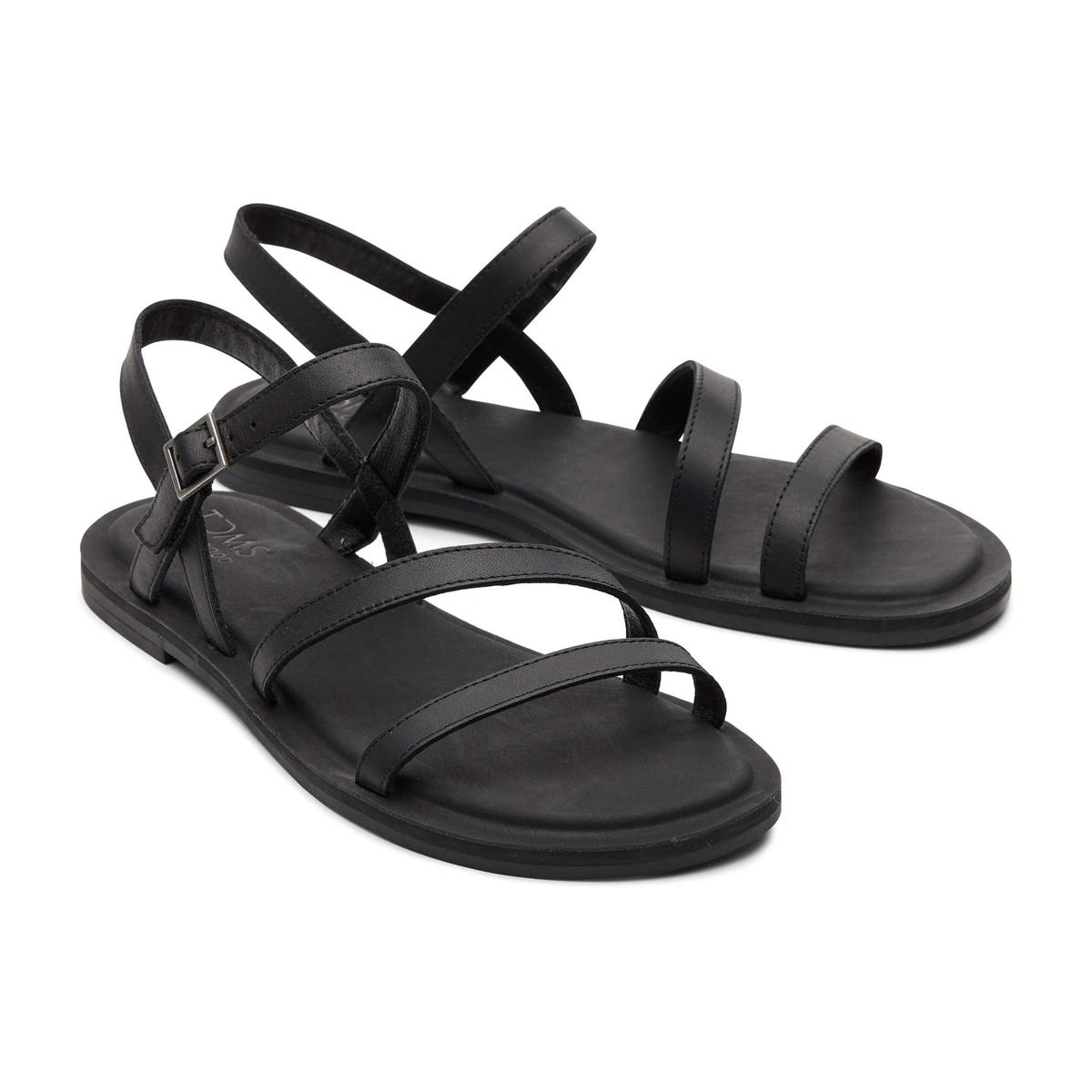 product/t/o/toms_10020802-001_1.jpg