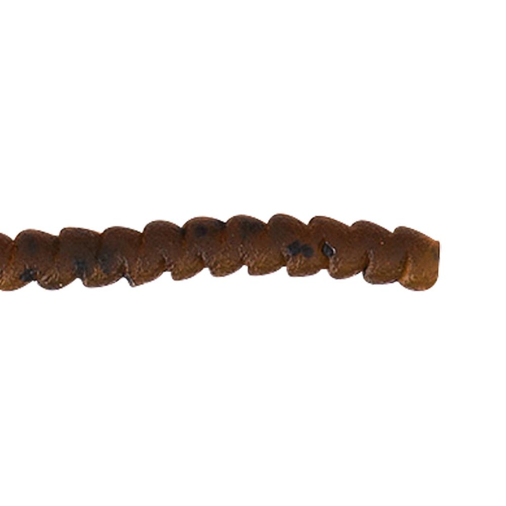 product/t/r/trout-master_4672-1052_terrapin_1.jpg