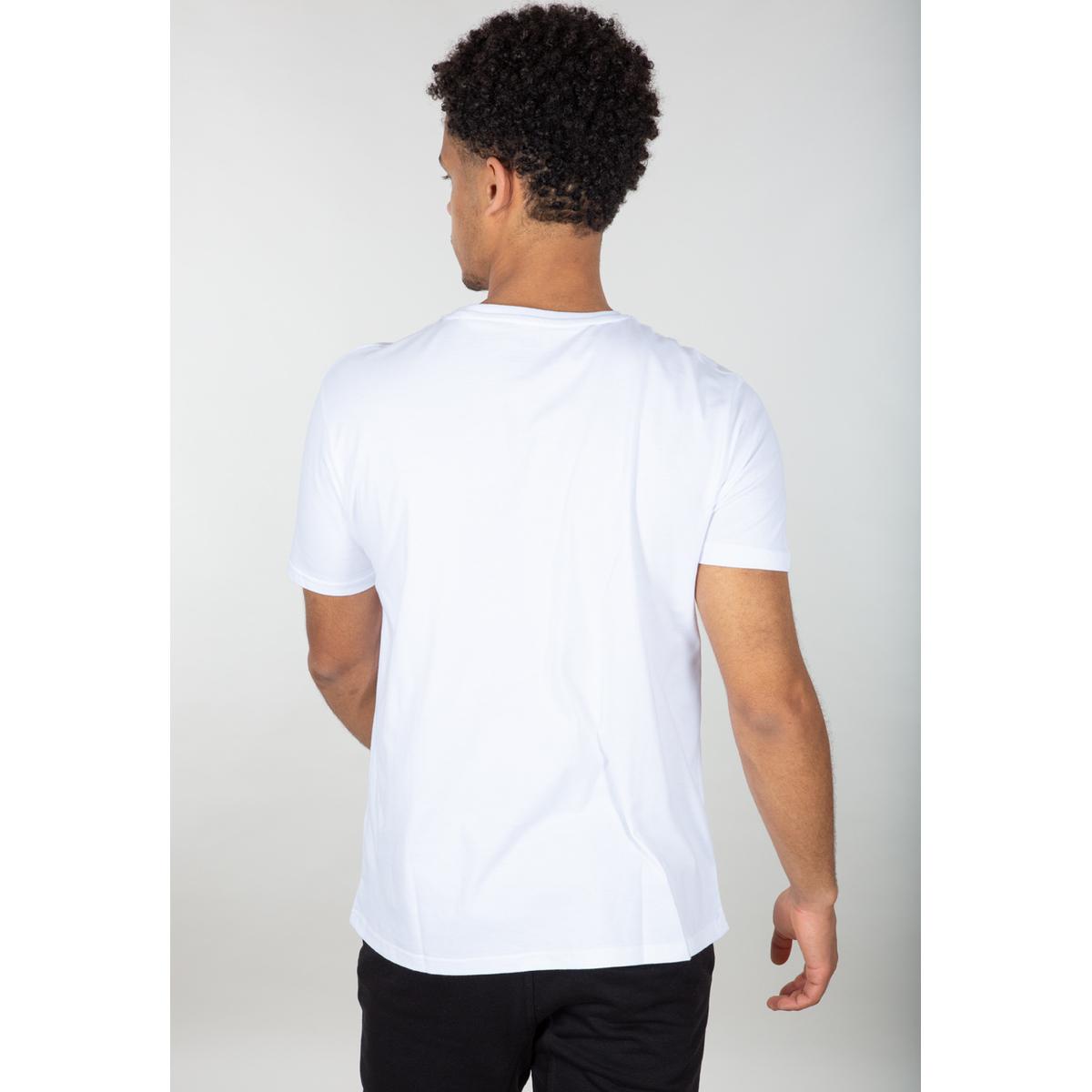 product/1/0/100501rr-09-alpha-industries-basic-t-rainbow-refl-print-005.jpg