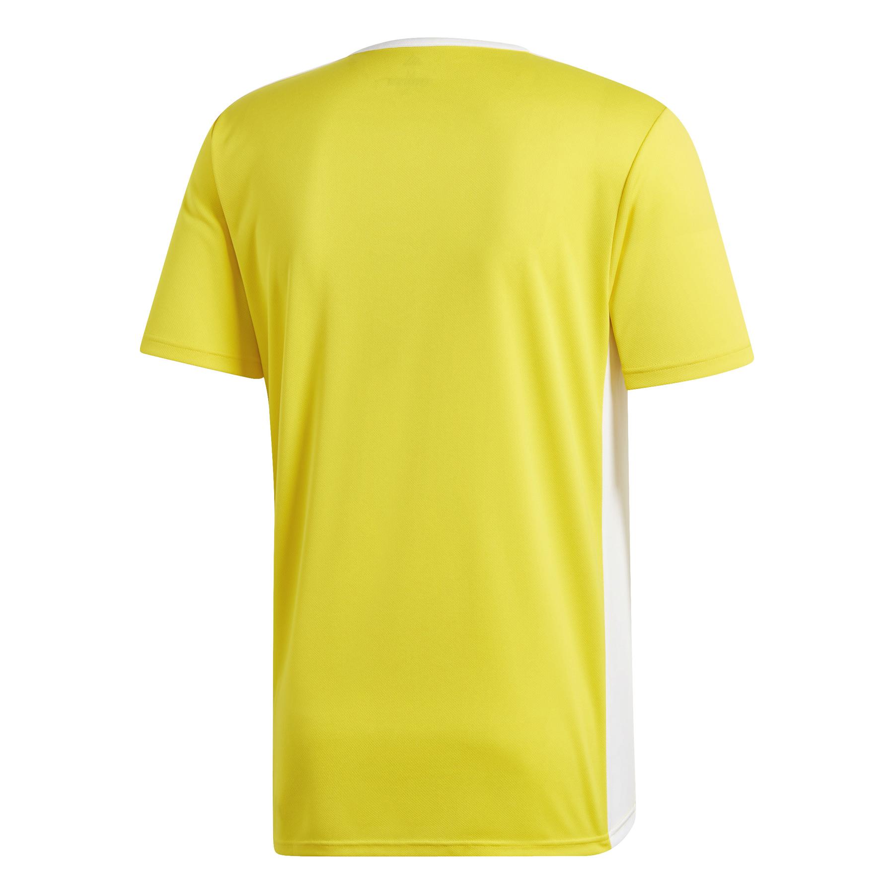 product/a/d/adidas_cd8390_5_apparel_photography_back_view_white-nw112824.jpg