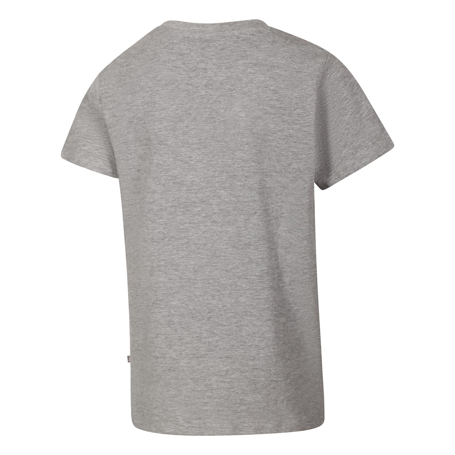 product/a/l/alpine-pro_ktse515774pb_gray-varianta-pb_2.jpg
