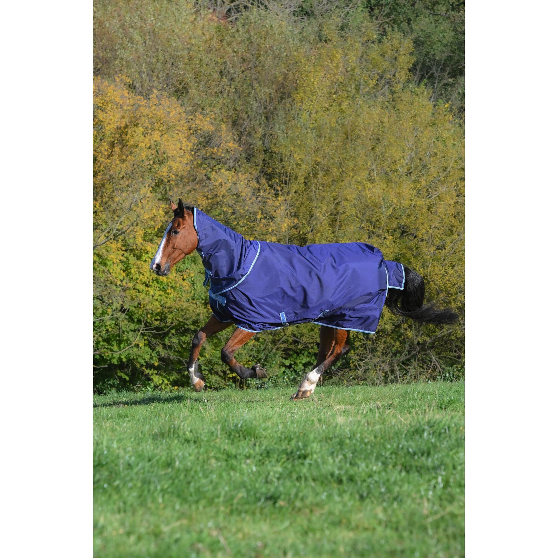 product/b/u/bucas_46525-58_navy-blue_1.jpg