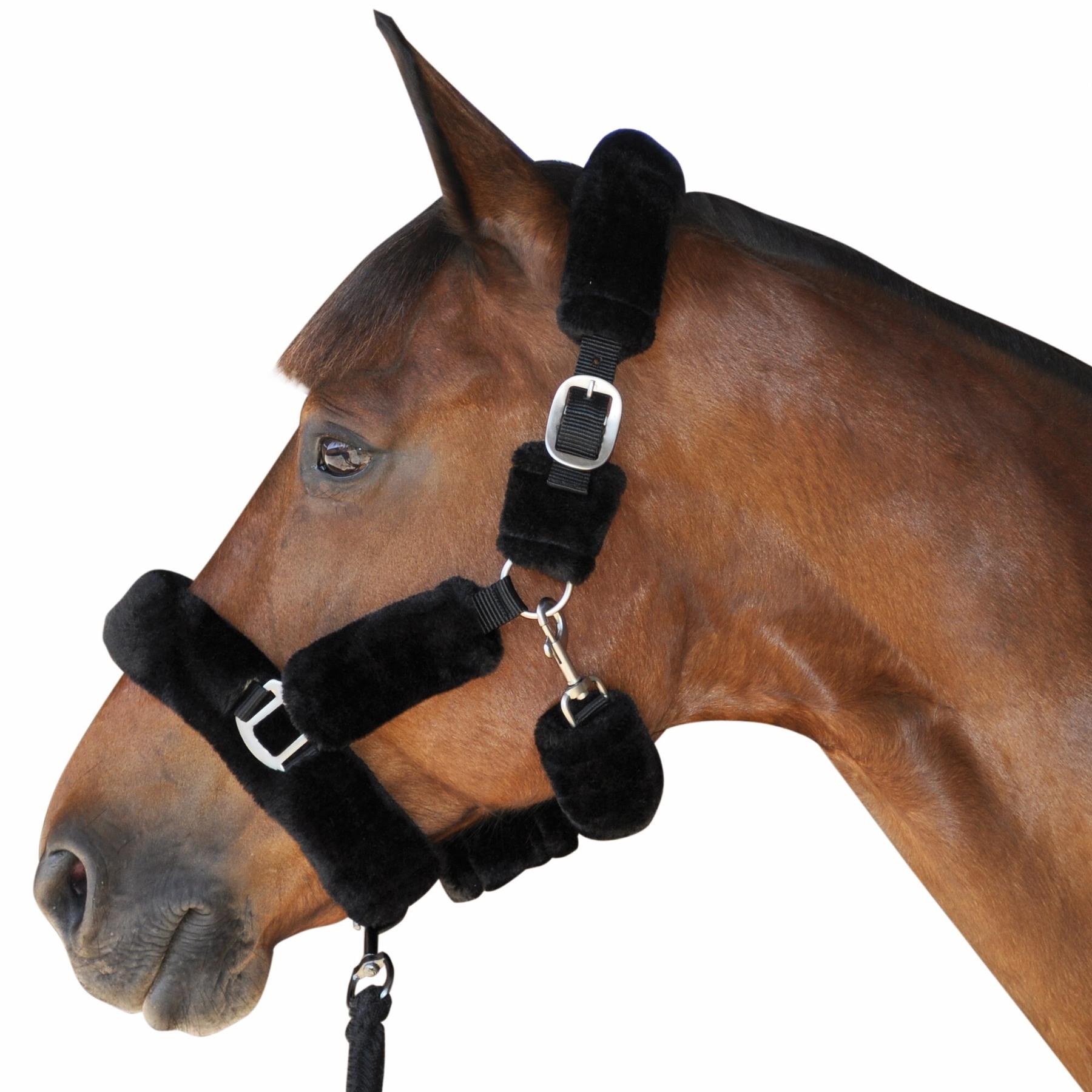 product/c/a/canter_109507-noir.jpg