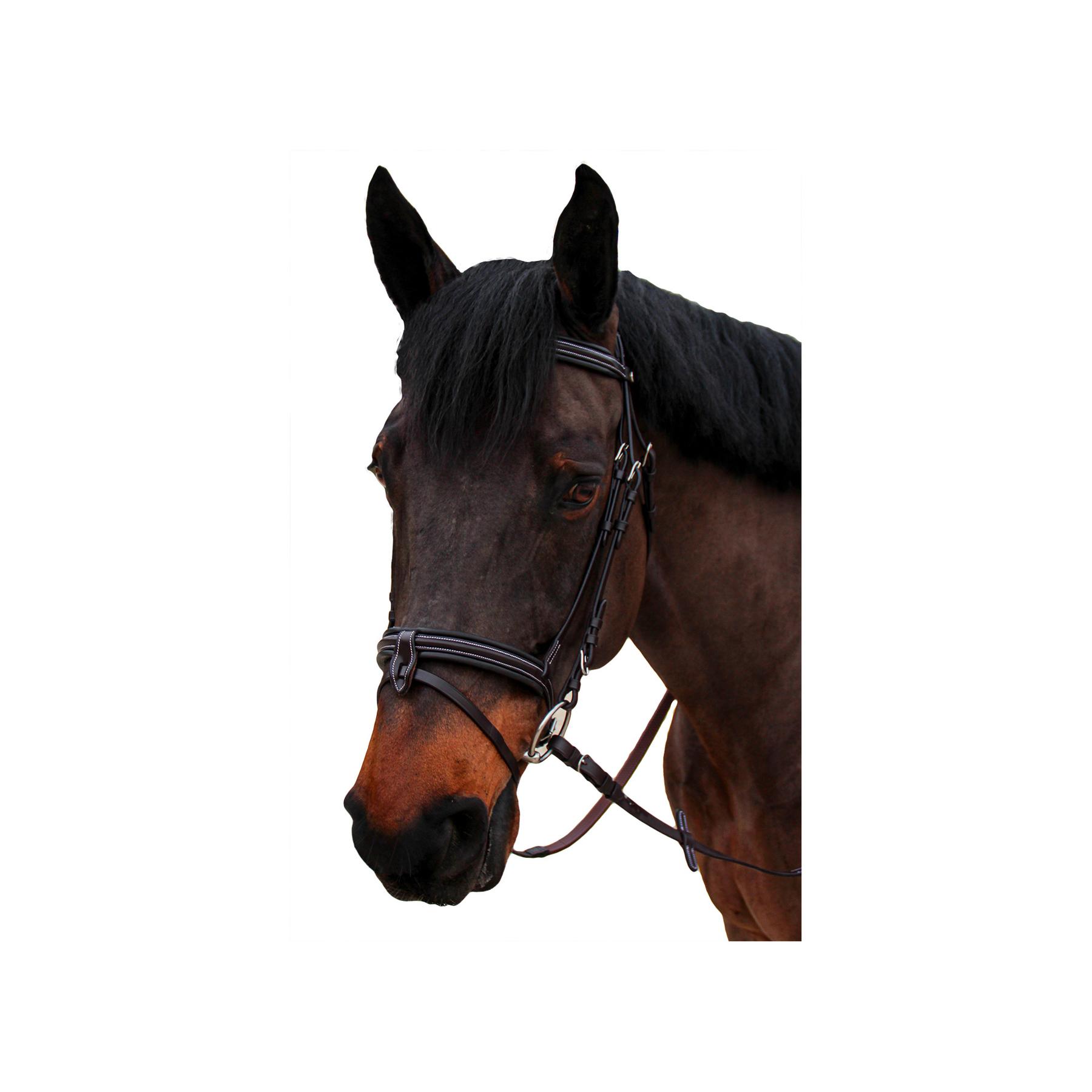product/c/a/canter_111112-noir_noir_1.jpg